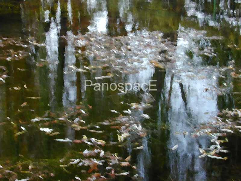 G06 Monet Inspiration