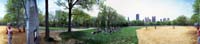 N08 central park baseball