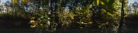 P18 Pure Paris Nature